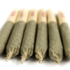 CBD PREROLLS