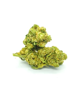 JUICY LEMON HAZE Fleurs CBD