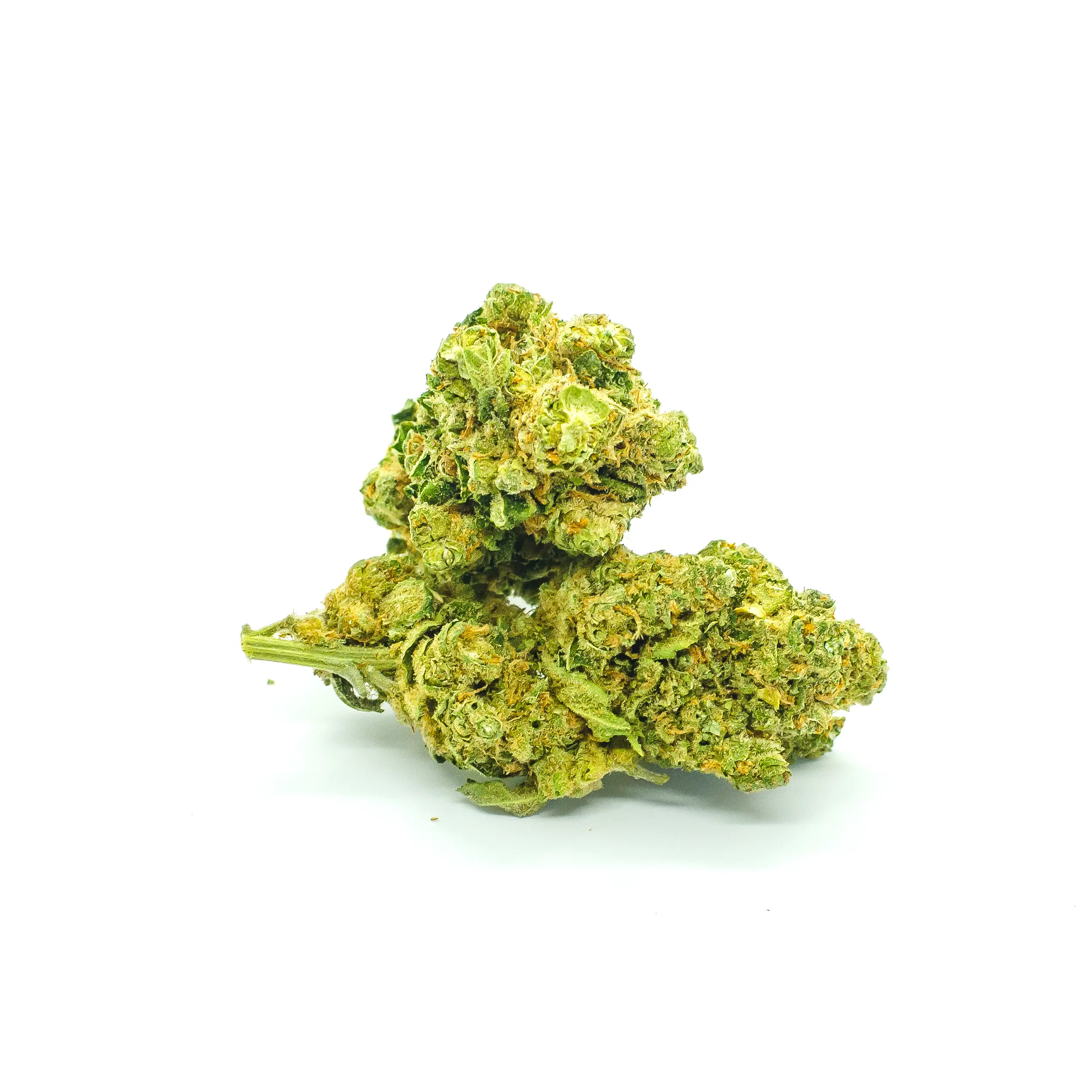 JUICY LEMON HAZE Fleurs CBD