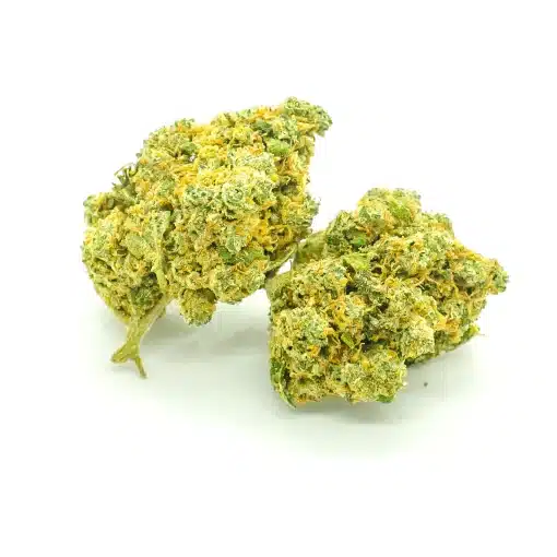 BLUEBERRY MUFFIN CBD – Image 2
