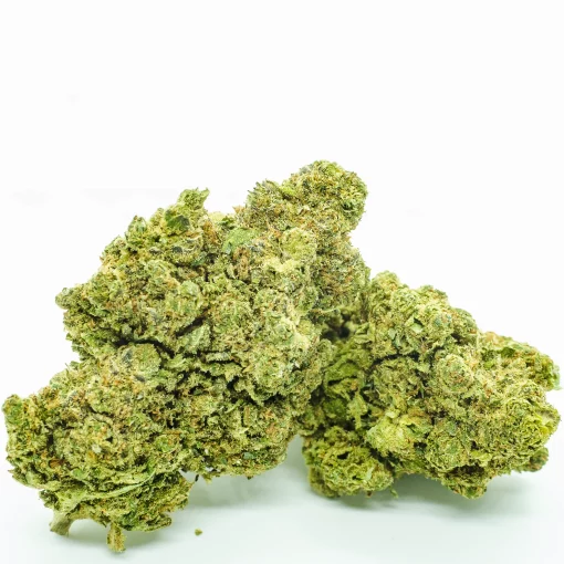 HARLEQUIN CANNATONIC CBD – Image 2