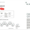 HARLEQUIN CANNATONIC CBD – Image 4